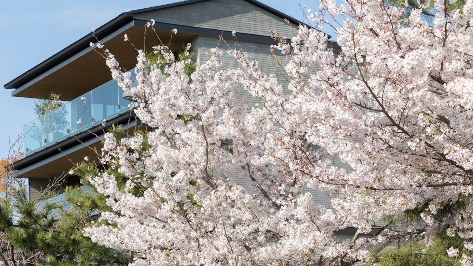 HOTEL CANATA KYOTO