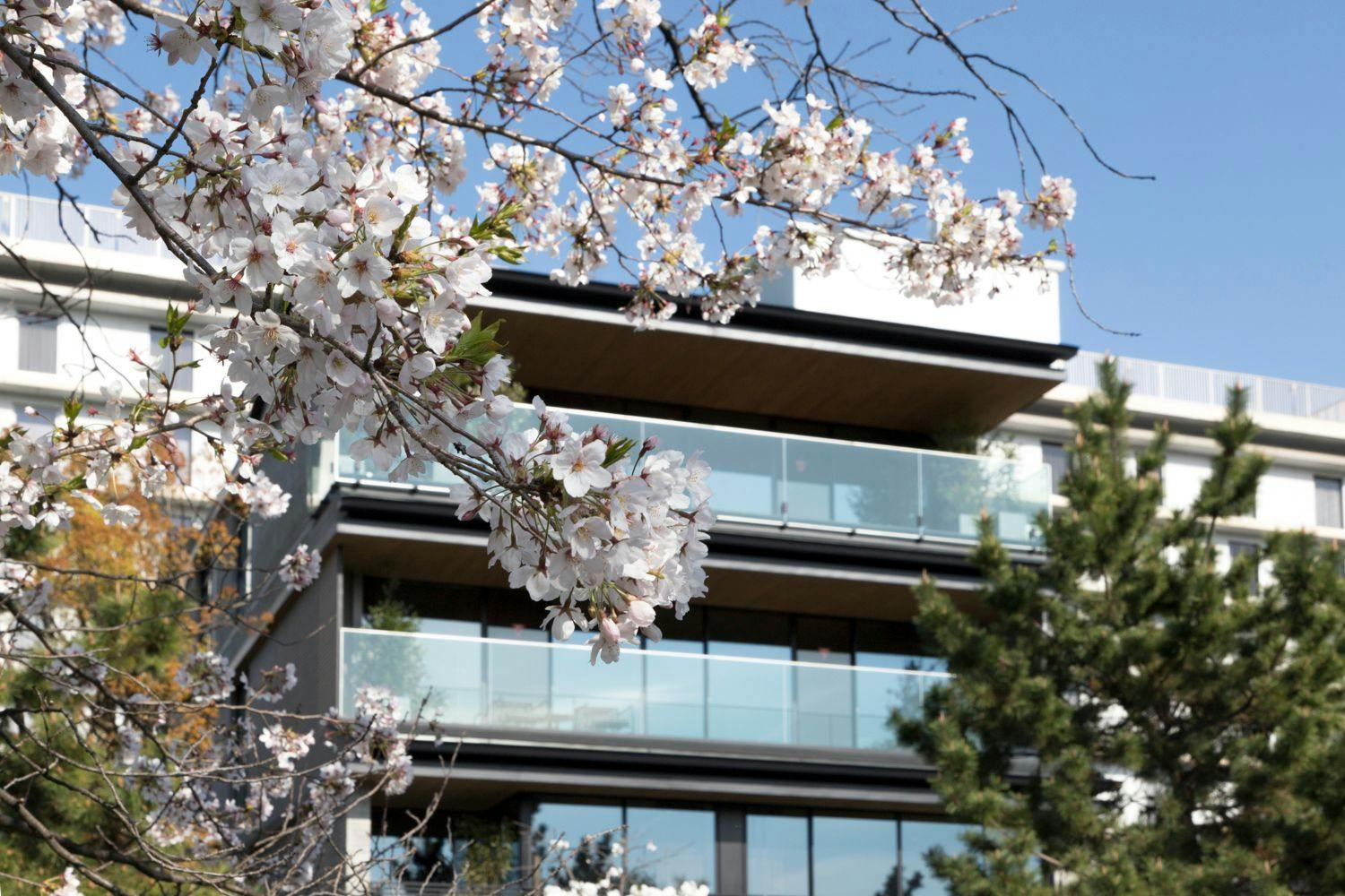 HOTEL CANATA KYOTO