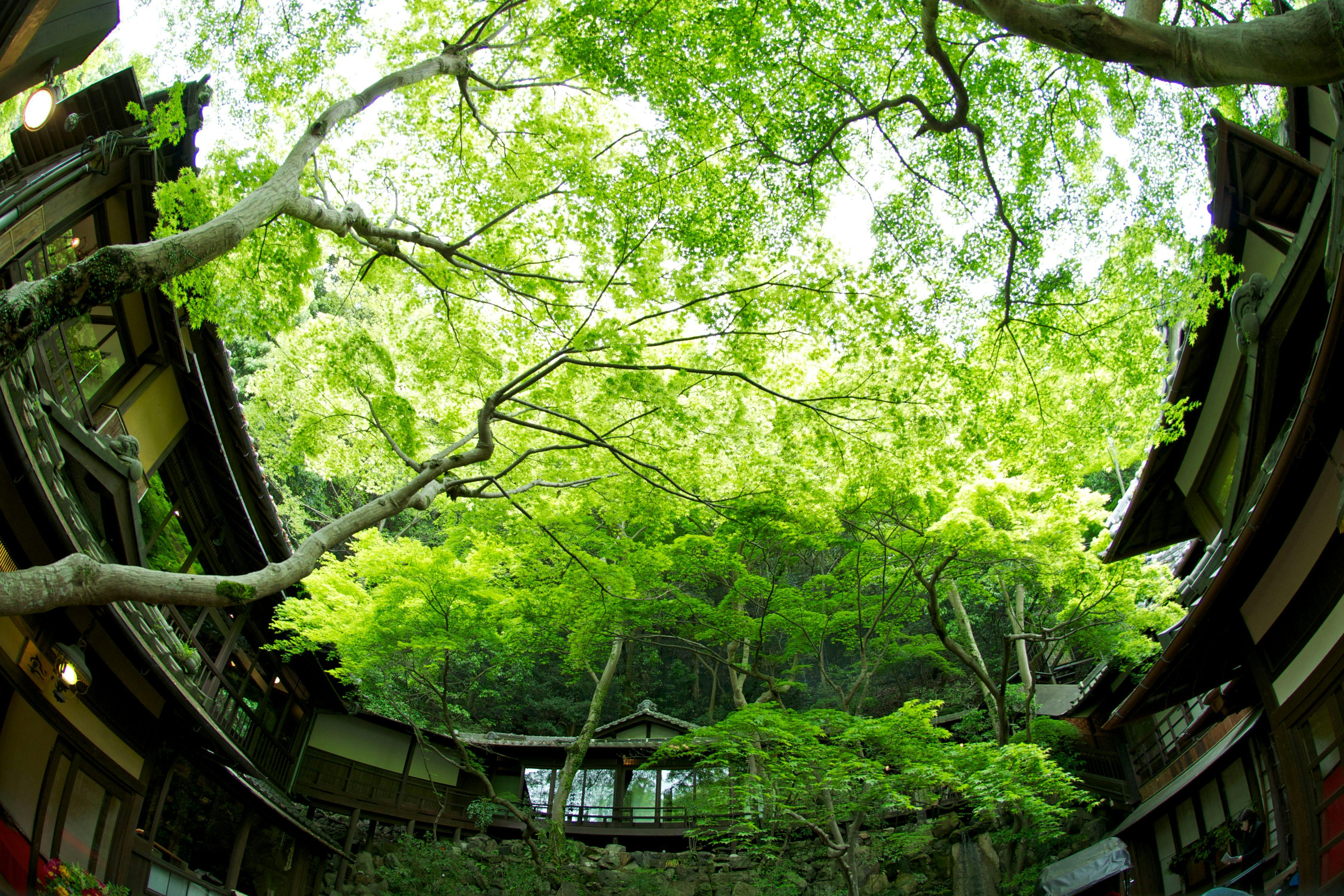 明治の森箕面　音羽山荘