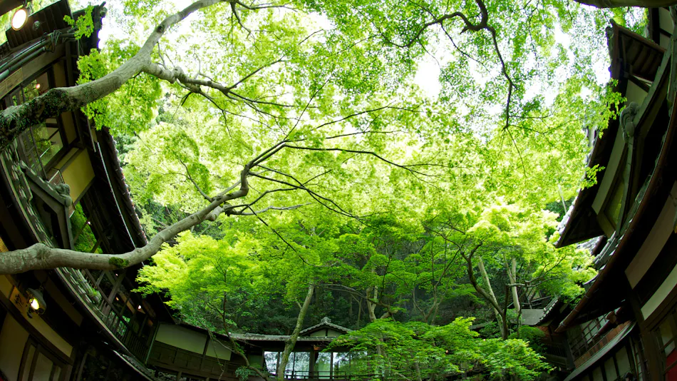 Meiji no Mori Minoh Otowa Sanso