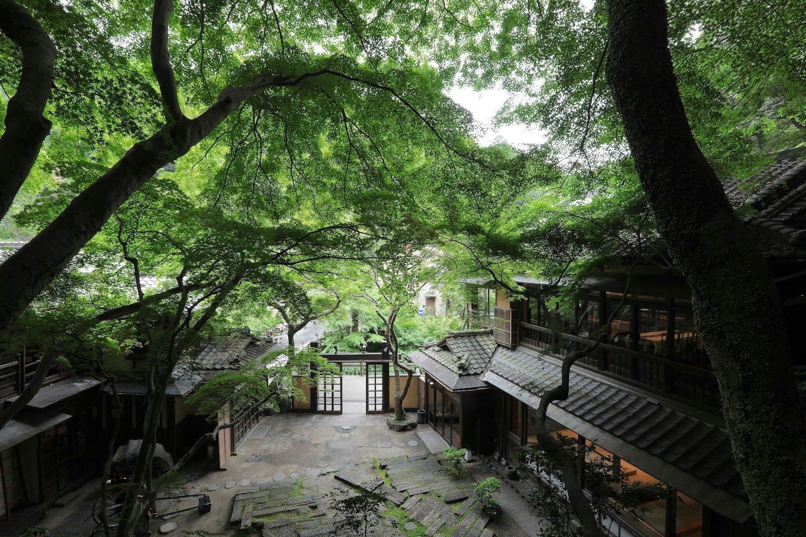 ゲストルーム【森の詩】からの眺め