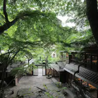 ゲストルーム【森の詩】からの眺め