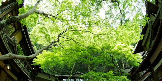 明治の森箕面 音羽山荘