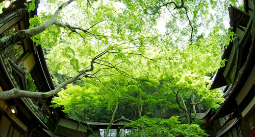 明治の森箕面 音羽山荘
