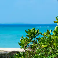 【หาดอัตสึตะ】เดินจากโรงแรมประมาณ 1 นาที