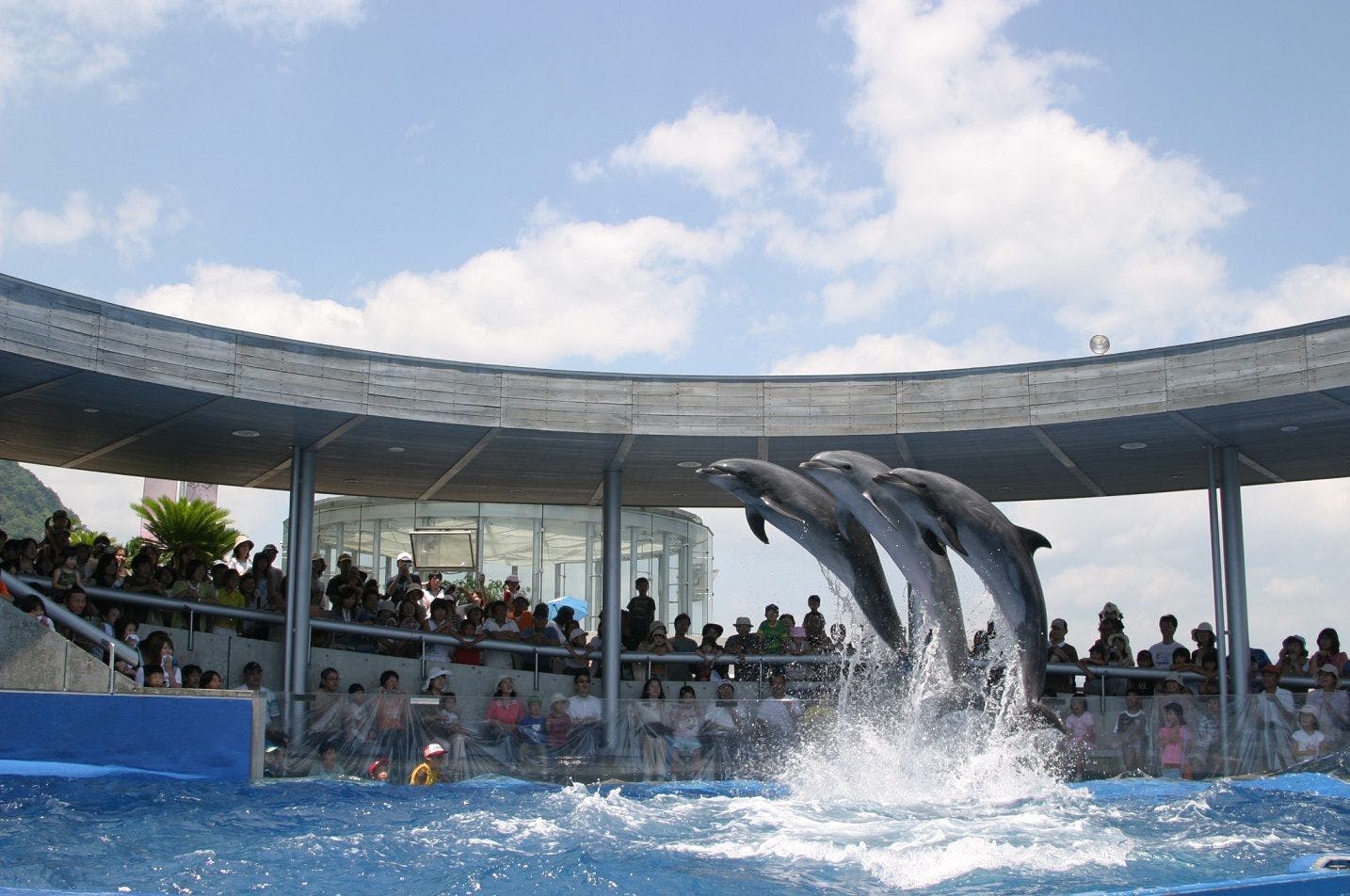 うみたまご　イルカショー