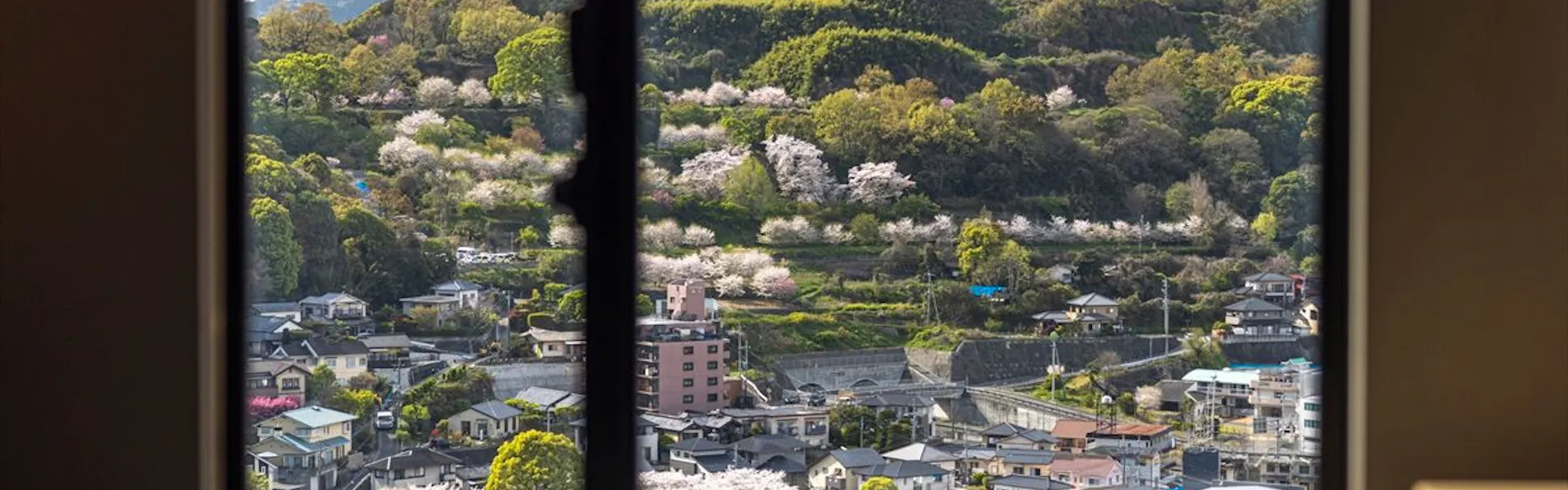 THE BLOSSOM KUMAMOTO(ザ ブラッサム 熊本)