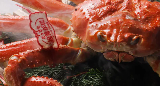 【美食の饗宴】料理長吟味 3,000杯に1杯の極上松葉ガニを刺・焼・蒸・鍋で味わう特撰カニ懐石