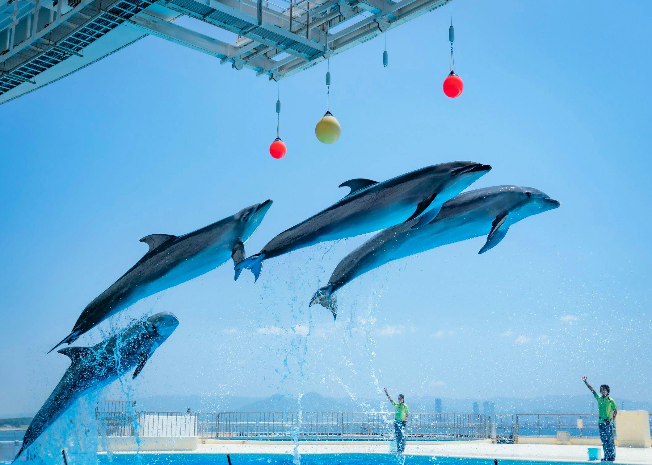 The358 SORA - 【マリンワールド海の中道】入館チケット付き宿泊プラン