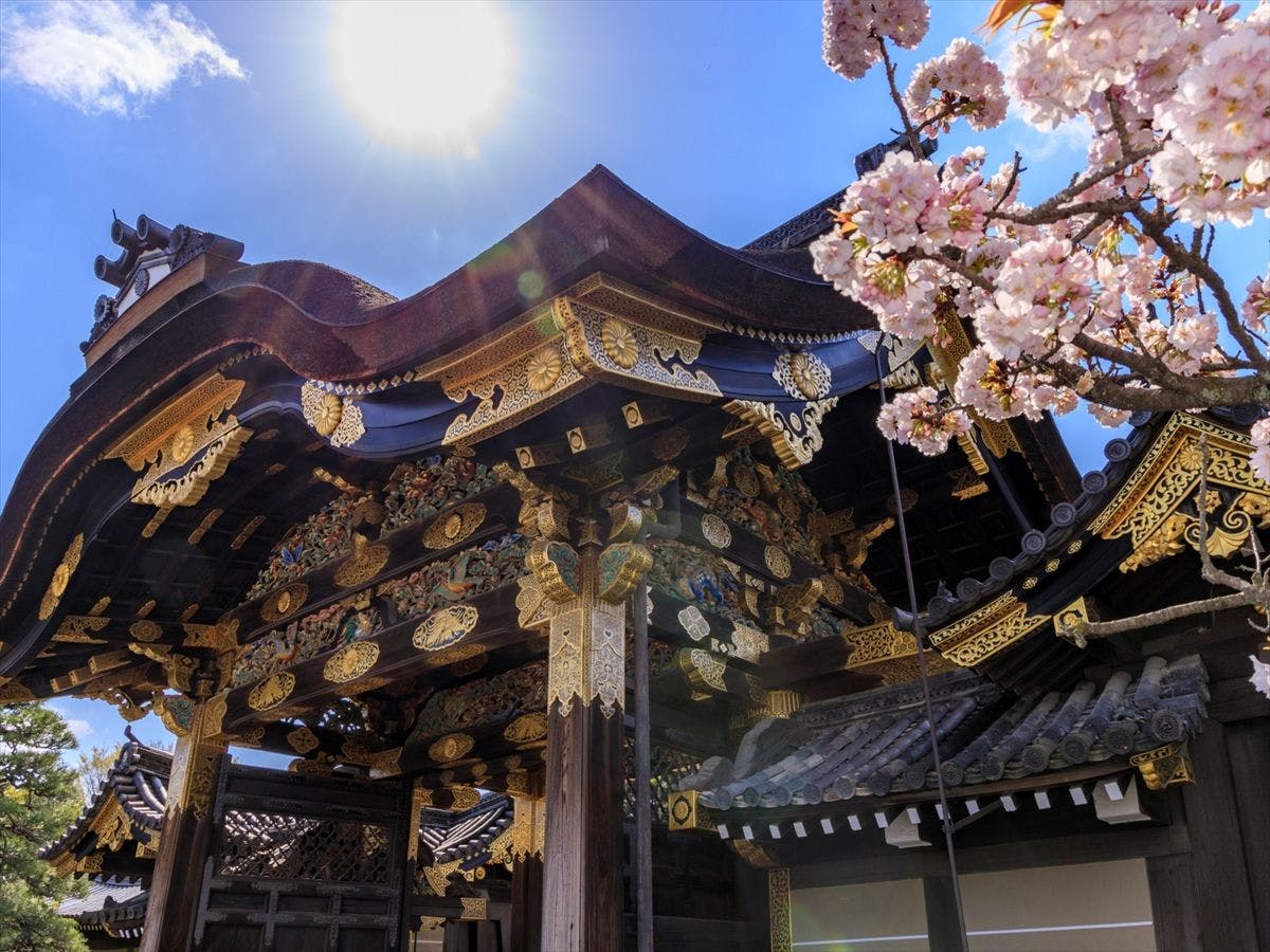 【ภาพลักษณ์การท่องเที่ยวเกียวโต】ปราสาทนิโจ | ประมาณ 15 นาทีโดยรถยนต์