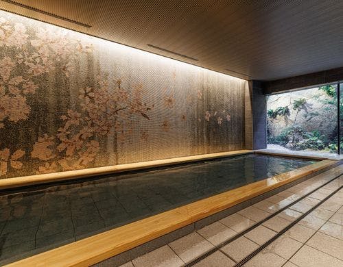 ＴＨＥ　ＢＬＯＳＳＯＭ　ＫＹＯＴＯ（ザ　ブラッサム京都）