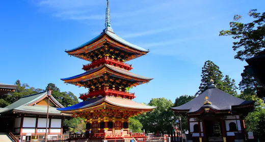 【お礼参りの旅】千年以上の歴史を誇る成田山新勝寺まで徒歩2分 年末詣プラン/2食付