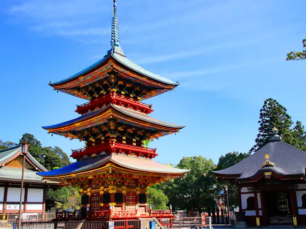 【お礼参りの旅】千年以上の歴史を誇る成田山新勝寺まで徒歩2分 年末詣プラン/2食付