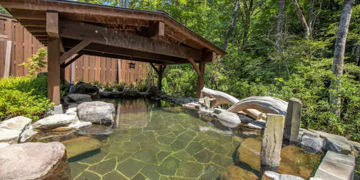 Shio no Yu Onsen Renge (Kyoritsu Resort)