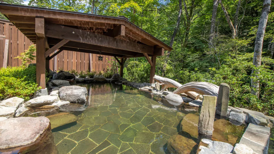 Shio no Yu Onsen Renge (Kyoritsu Resort)