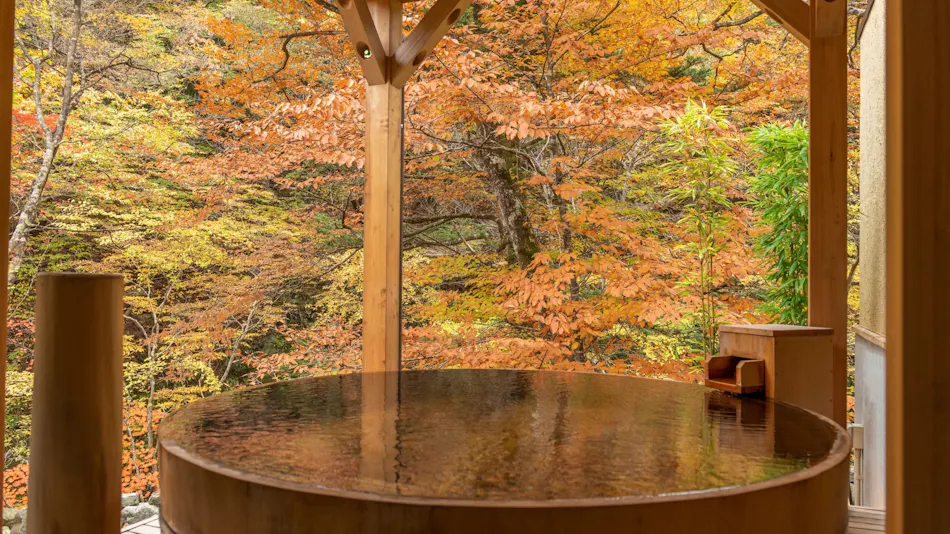 Shio no Yu Onsen Renge (Kyoritsu Resort)