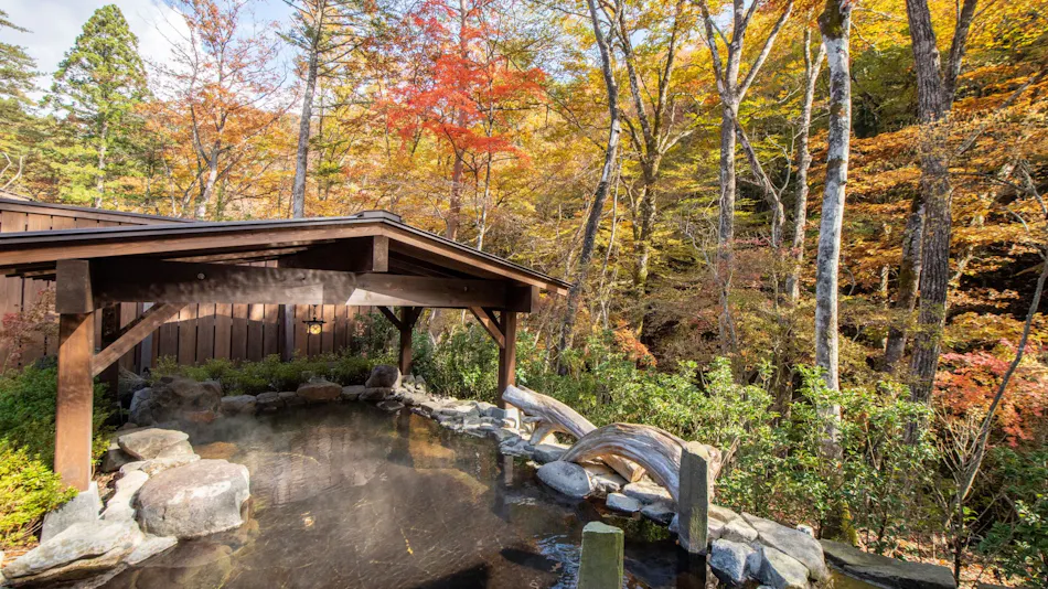Shio no Yu Onsen Renge (Kyoritsu Resort)