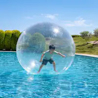 プールアクティビティ:アクアボール