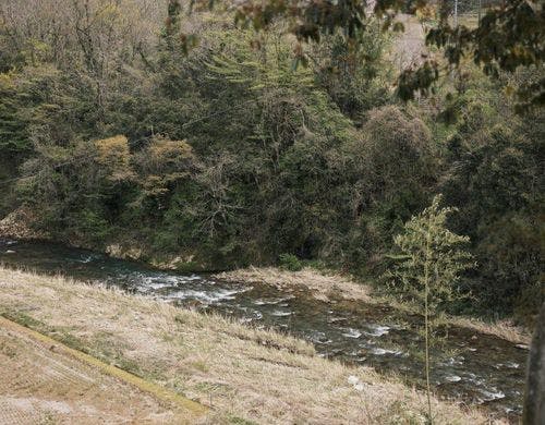 欅のお部屋　窓からの景色