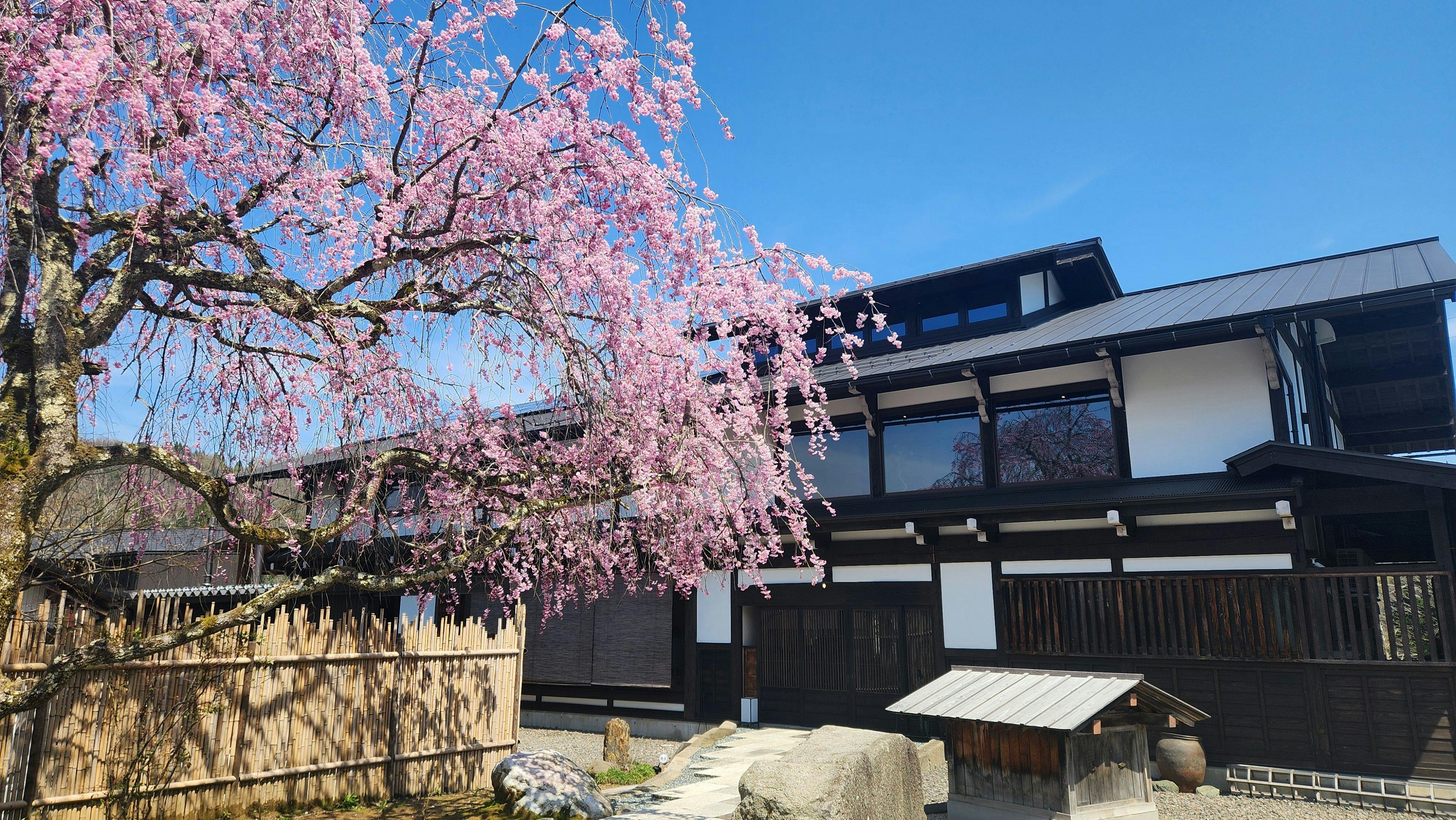Onsen & Garden 七菜