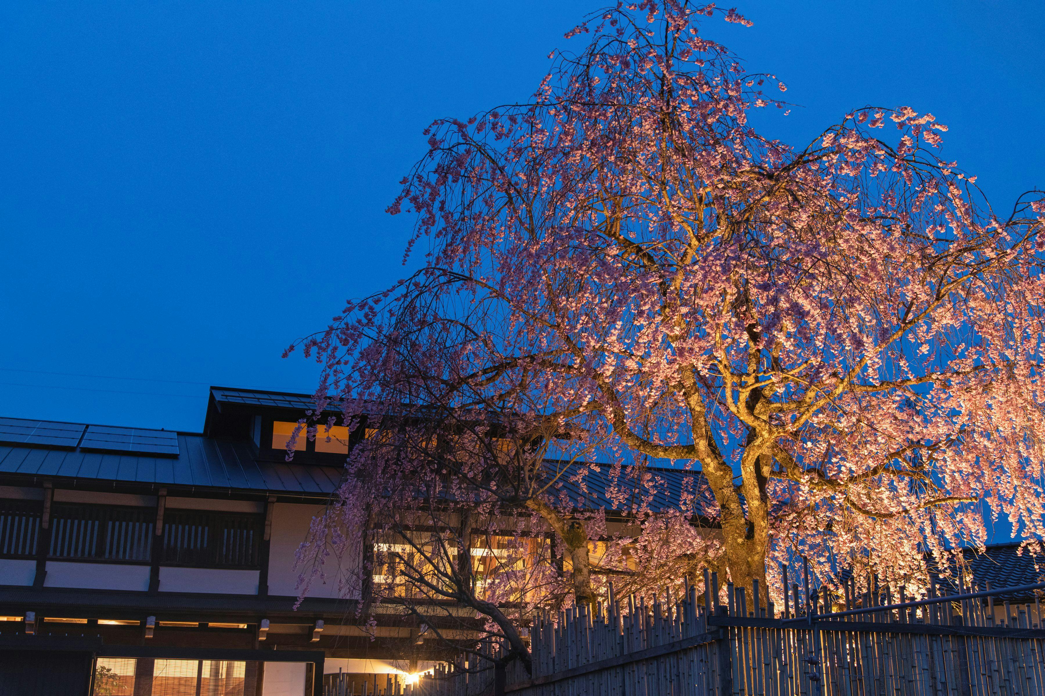 Onsen & Garden 七菜