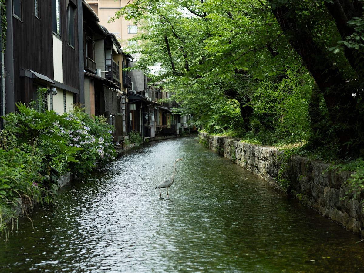 木屋町通