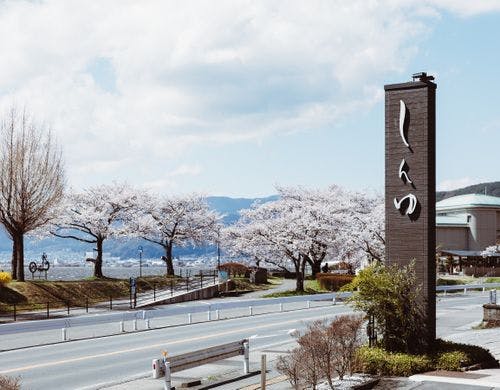 諏訪湖沿いの桜