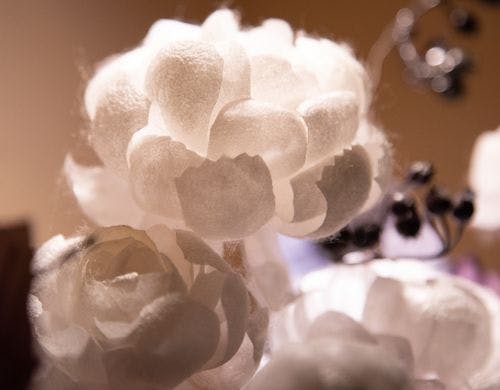 繭のアートフラワー