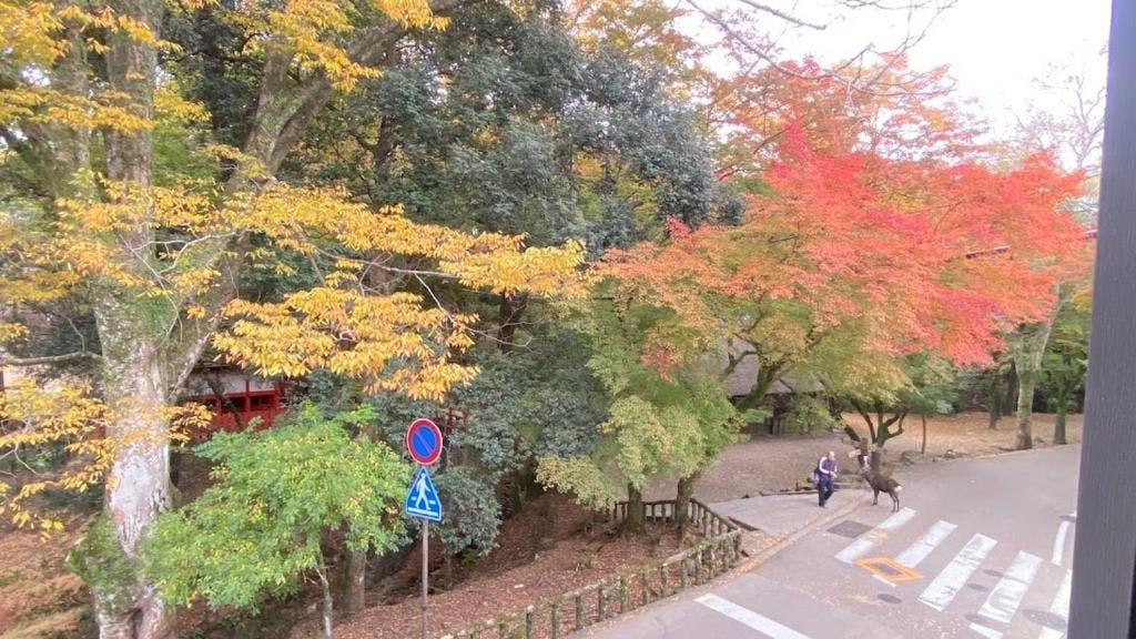 奈良春日 鹿のや
