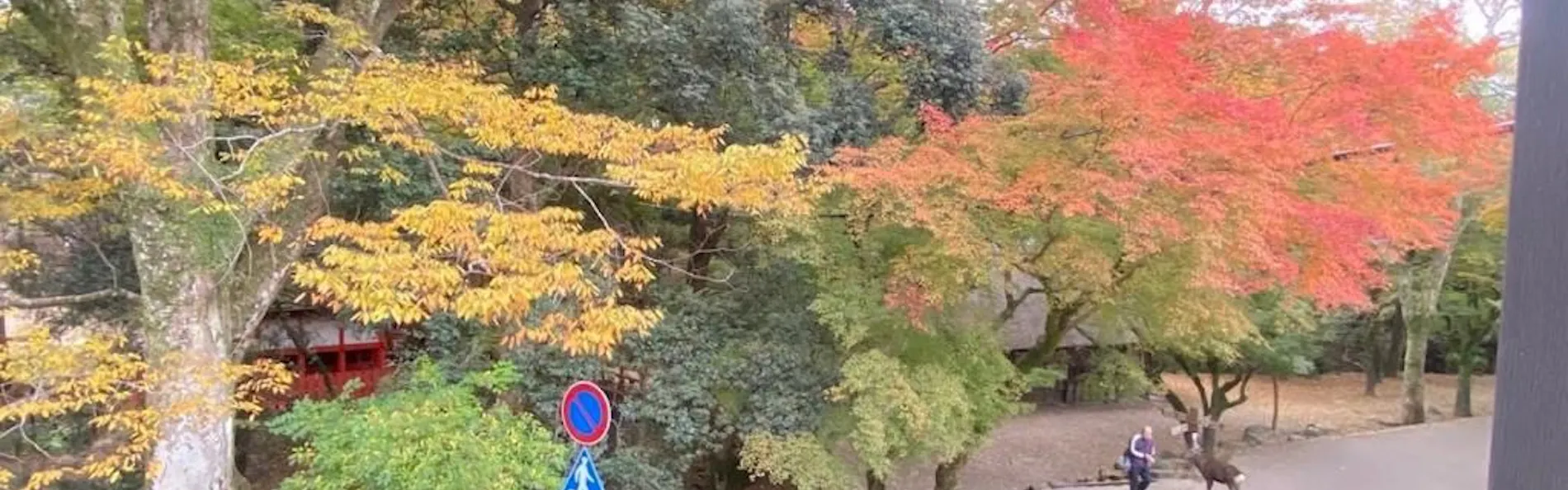 奈良春日 鹿のや