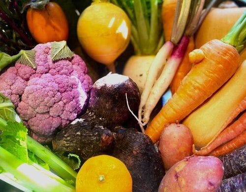 奈良の地野菜をたっぷり使用しております