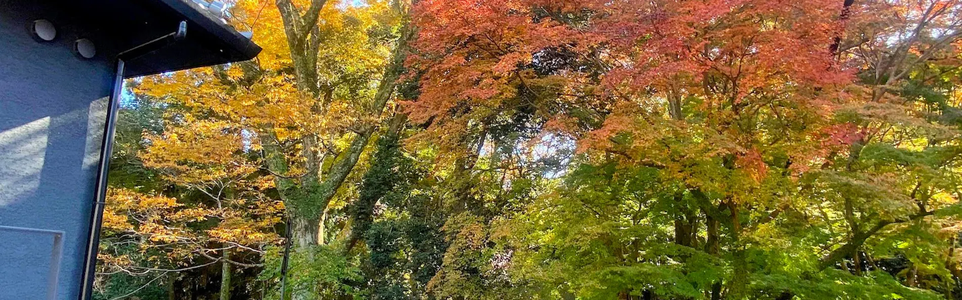 奈良春日 鹿のや