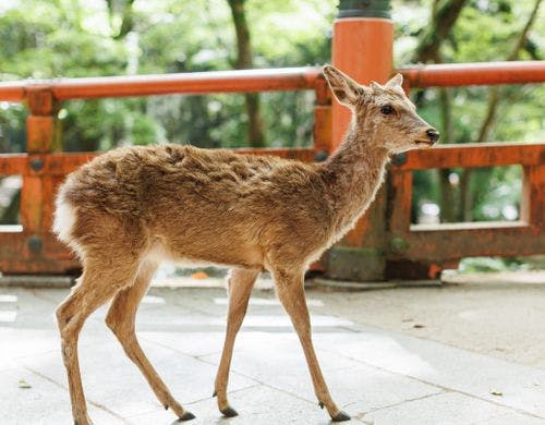 ホテルからの眺め