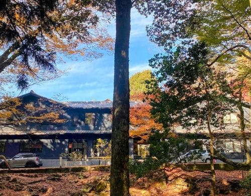春日大社の森からホテルを望む