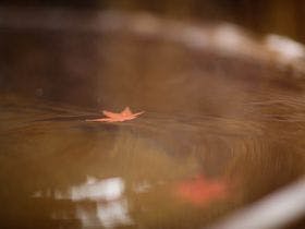 四万温泉 柏屋旅館
