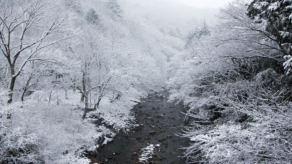 Shima Onsen Kashiwaya Ryokan