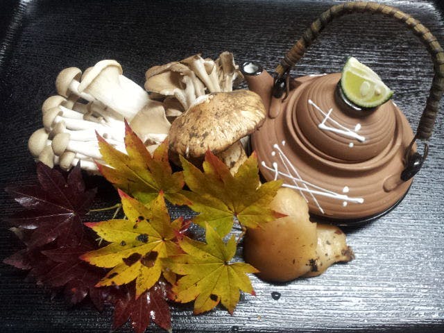ペンションほのみ亭