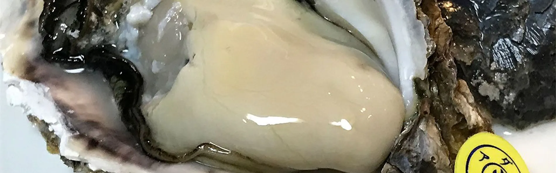 食彩の湯宿 冨久家