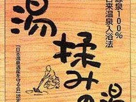 家族とすごす白浜の宿 柳屋