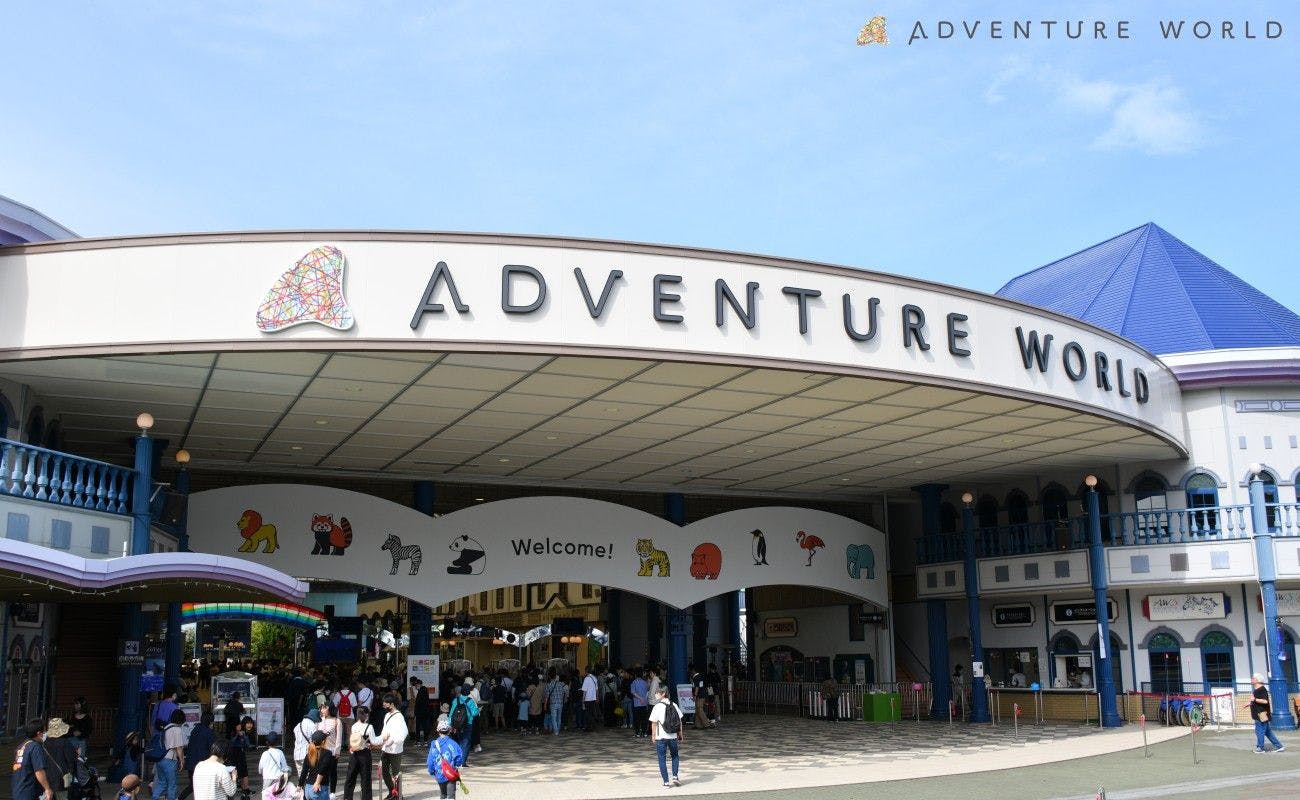 【素泊まりプラン｜アドベンチャーワールド入園付き】イルカショーなど存分に楽しむ1日を！