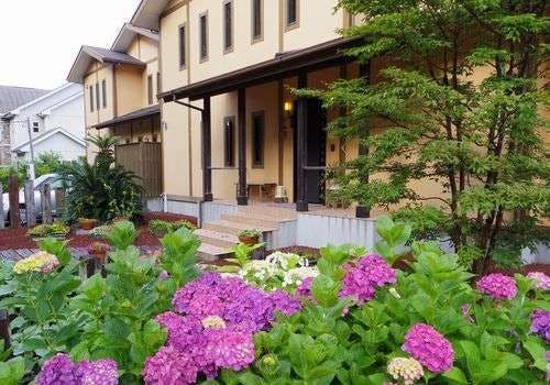 【ภายนอก】ในเดือนมิถุนายน ดอกไฮเดรนเยียบานอย่างสวยงาม