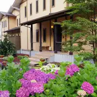 【ภายนอก】ในเดือนมิถุนายน ดอกไฮเดรนเยียบานอย่างสวยงาม