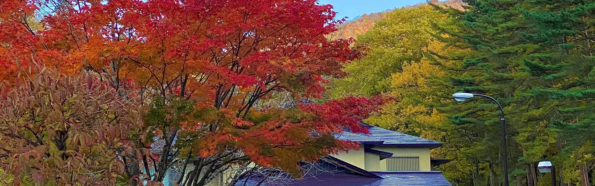 御宿 万葉亭