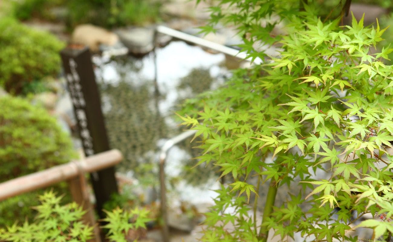 湯宿 和泉屋善兵衛