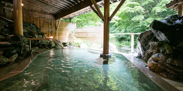 22年最新 湯西川ダックツアー 水陸両用バス 周辺で源泉掛け流しが人気の宿ランキング 一休 Com 22年最新 湯西川ダックツアー 水陸両用バス 周辺で源泉掛け流しが人気の宿ランキング 一休 Com