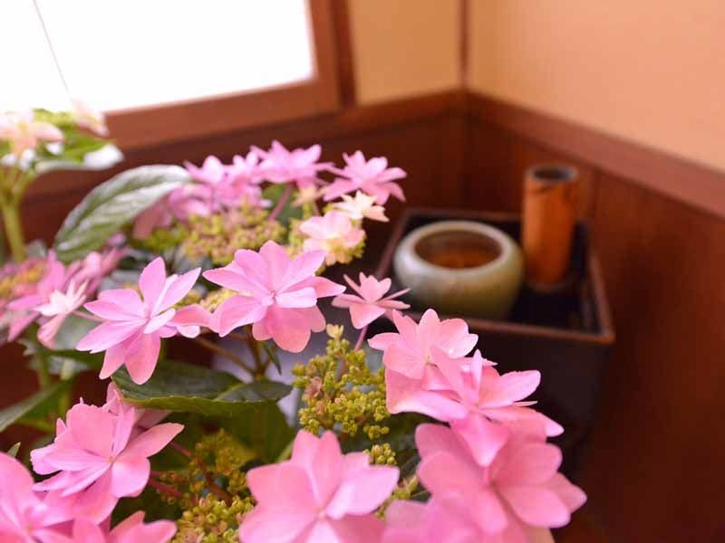 庭園旅館　備後屋