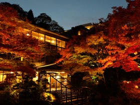 ねぎや陵楓閣