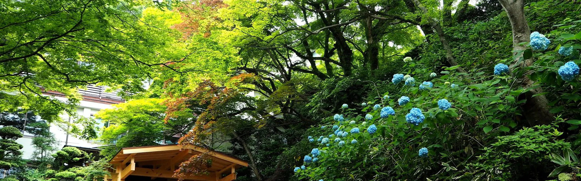 有馬温泉 ねぎや陵楓閣