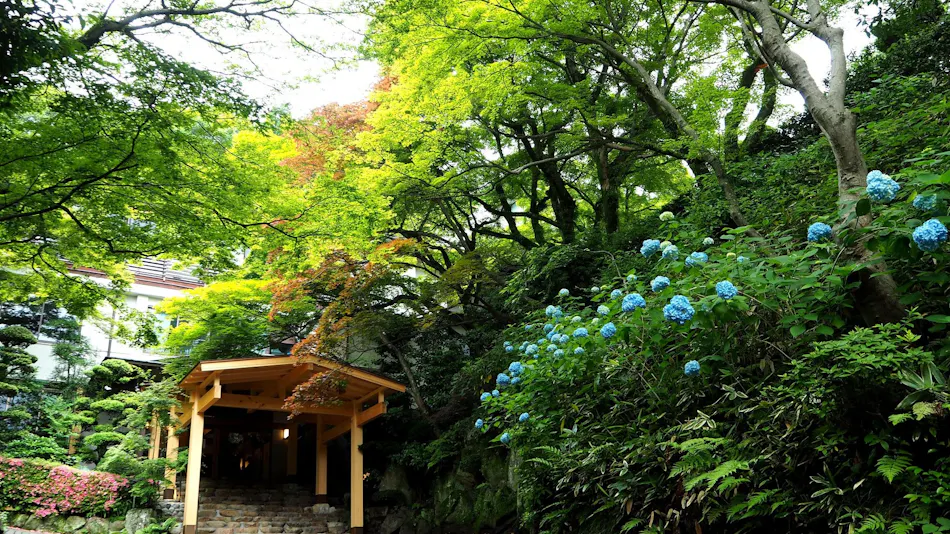 Arima Onsen Negiya Ryofukaku