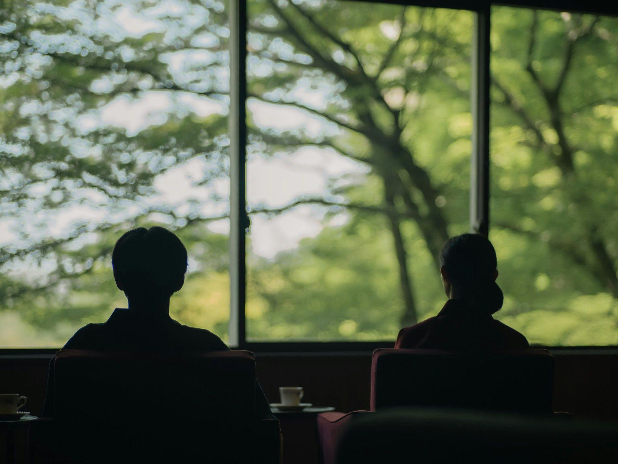 被樹木環繞的館
